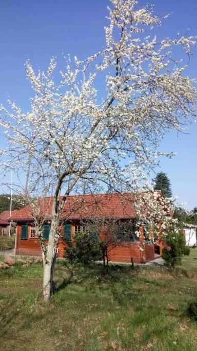 Haus Elsbeere Villa Ludwigswinkel Kültér fotó